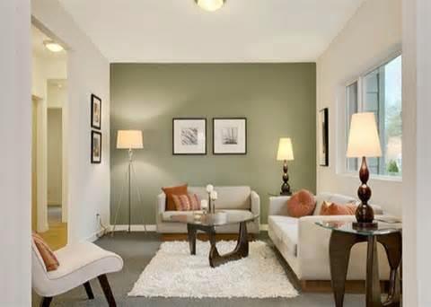 small living room wall color ideas